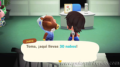 Animal Crossing: New Horizons