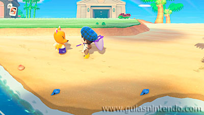Animal Crossing: New Horizons