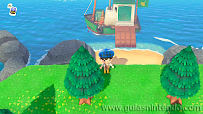 Animal Crossing: New Horizons