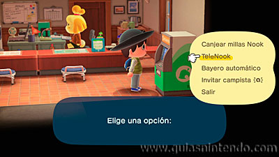 Animal Crossing: New Horizons