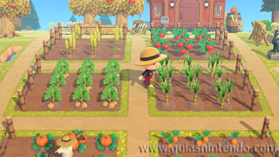 Animal Crossing: New Horizons