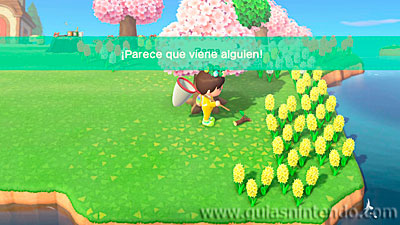 Animal Crossing: New Horizons