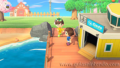 Animal Crossing: New Horizons
