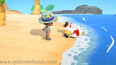 Animal Crossing: New Horizons