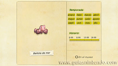 Animal Crossing: New Horizons