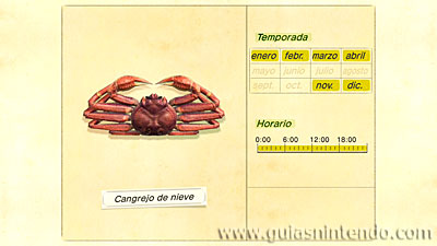 Animal Crossing: New Horizons