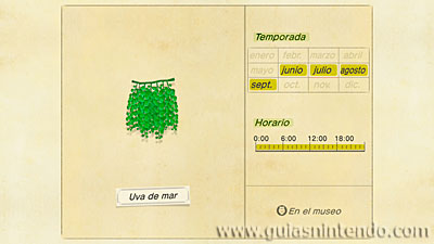 Animal Crossing: New Horizons