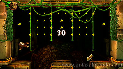 Donkey Kong Country: Tropical Freeze
