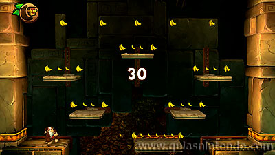 Donkey Kong Country: Tropical Freeze