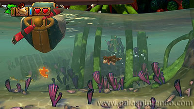 Donkey Kong Country: Tropical Freeze