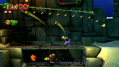 Donkey Kong Country: Tropical Freeze