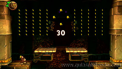 Donkey Kong Country: Tropical Freeze