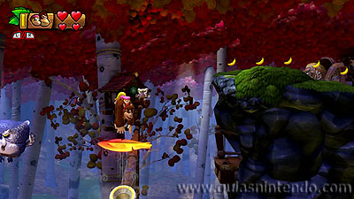 Donkey Kong Country: Tropical Freeze