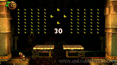 Donkey Kong Country: Tropical Freeze