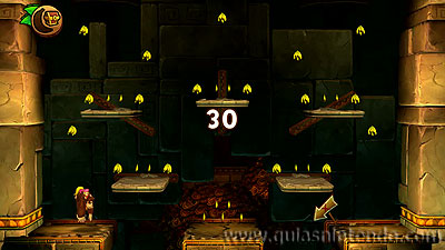Donkey Kong Country: Tropical Freeze