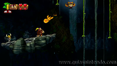 Donkey Kong Country: Tropical Freeze