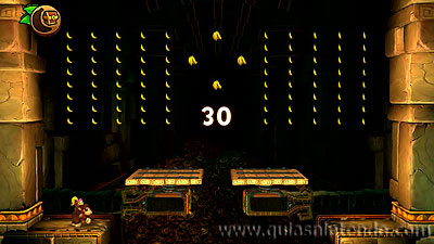 Donkey Kong Country: Tropical Freeze