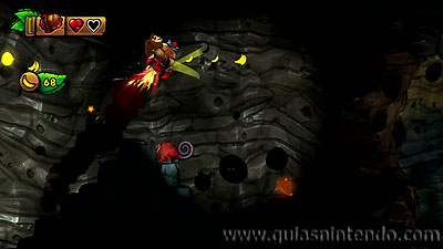 Donkey Kong Country: Tropical Freeze
