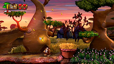 Donkey Kong Country: Tropical Freeze