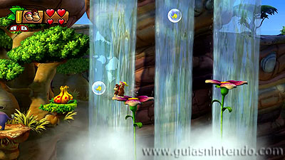 Donkey Kong Country: Tropical Freeze