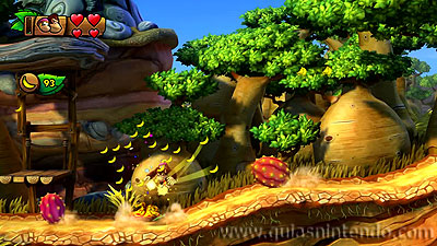 Donkey Kong Country: Tropical Freeze