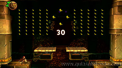 Donkey Kong Country: Tropical Freeze