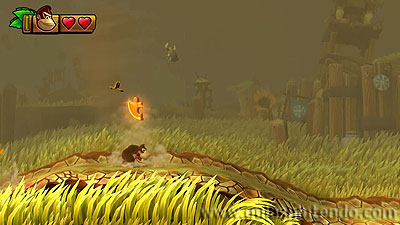 Donkey Kong Country: Tropical Freeze