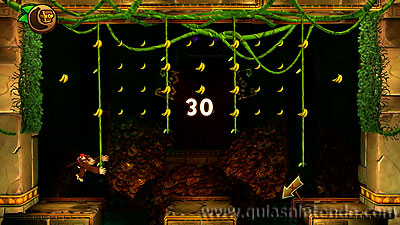 Donkey Kong Country: Tropical Freeze