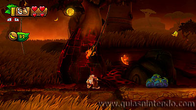 Donkey Kong Country: Tropical Freeze