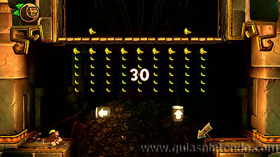 Donkey Kong Country: Tropical Freeze
