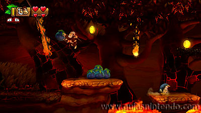 Donkey Kong Country: Tropical Freeze