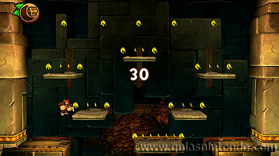 Donkey Kong Country: Tropical Freeze