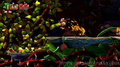 Donkey Kong Country: Tropical Freeze