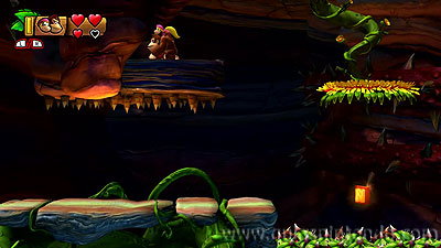Donkey Kong Country: Tropical Freeze