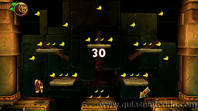 Donkey Kong Country: Tropical Freeze