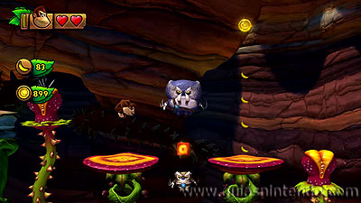 Donkey Kong Country: Tropical Freeze