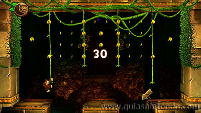 Donkey Kong Country: Tropical Freeze