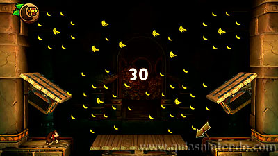 Donkey Kong Country: Tropical Freeze