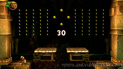 Donkey Kong Country: Tropical Freeze