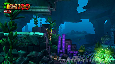 Donkey Kong Country: Tropical Freeze