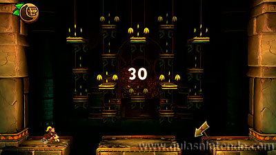 Donkey Kong Country: Tropical Freeze