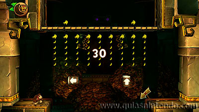 Donkey Kong Country: Tropical Freeze