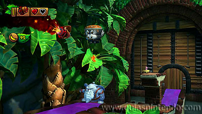 Donkey Kong Country: Tropical Freeze