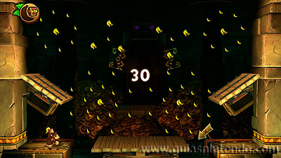 Donkey Kong Country: Tropical Freeze