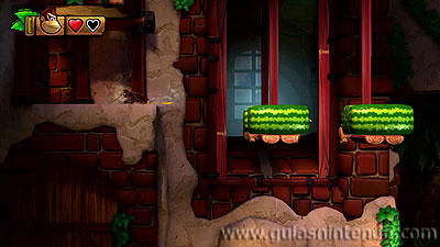 Donkey Kong Country: Tropical Freeze