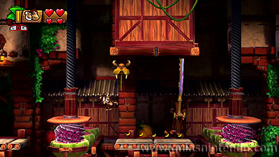 Donkey Kong Country: Tropical Freeze