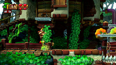 Donkey Kong Country: Tropical Freeze