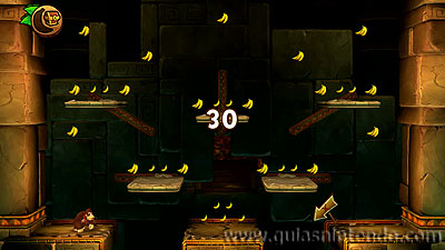 Donkey Kong Country: Tropical Freeze