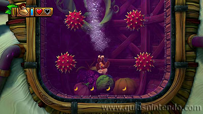 Donkey Kong Country: Tropical Freeze