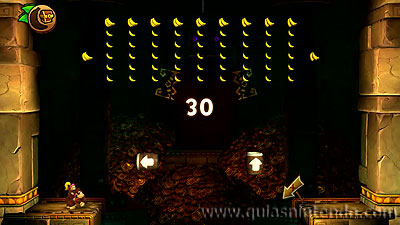 Donkey Kong Country: Tropical Freeze